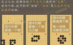 瞎子下围棋打一成语,徐光霖以瞎子下围棋的毅力铸就围棋之路