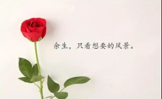 特别走心的干净短句,短句中的纯净力量”